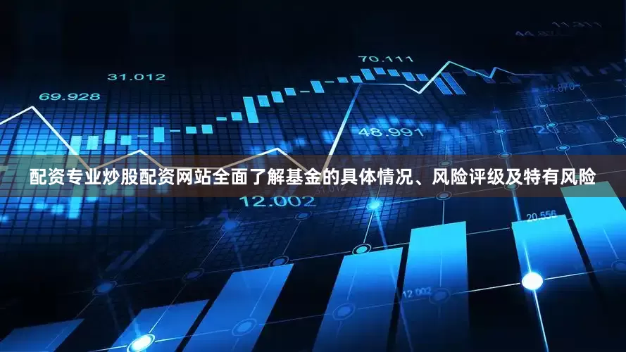 配资专业炒股配资网站全面了解基金的具体情况、风险评级及特有风险