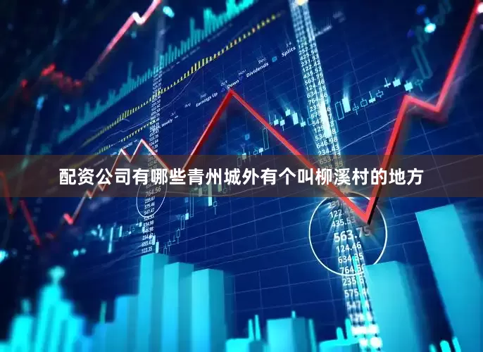 配资公司有哪些青州城外有个叫柳溪村的地方