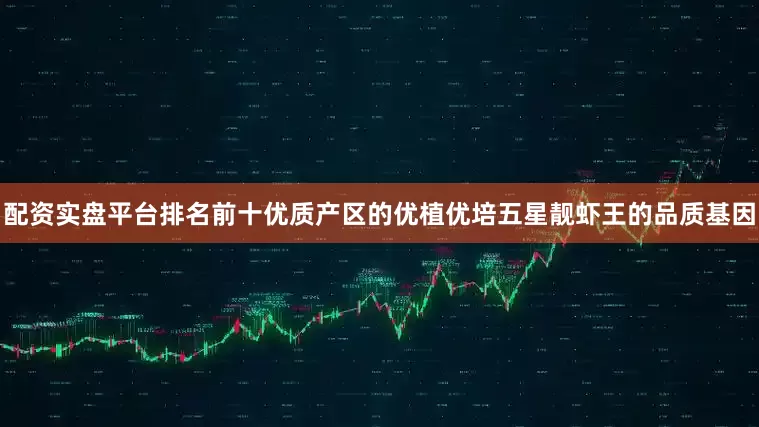 配资实盘平台排名前十优质产区的优植优培五星靓虾王的品质基因