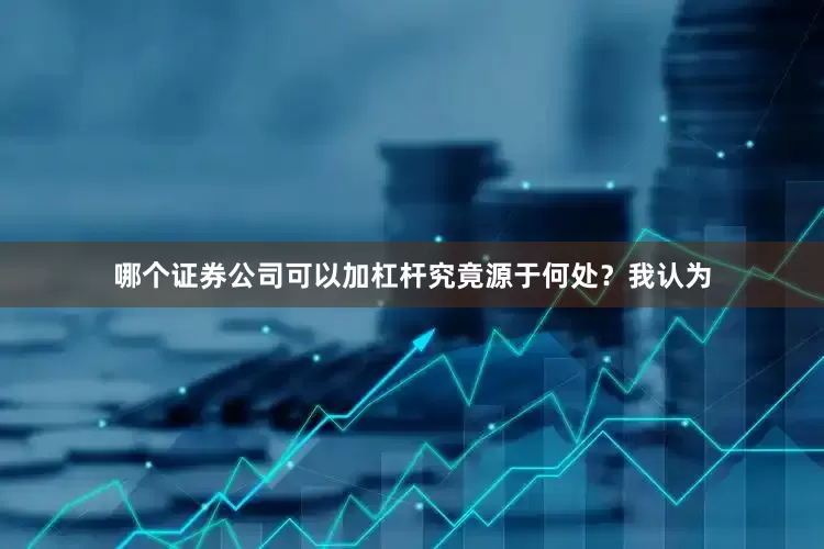 哪个证券公司可以加杠杆究竟源于何处？我认为