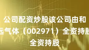 公司配资炒股该公司由和远气体（002971）全资持股