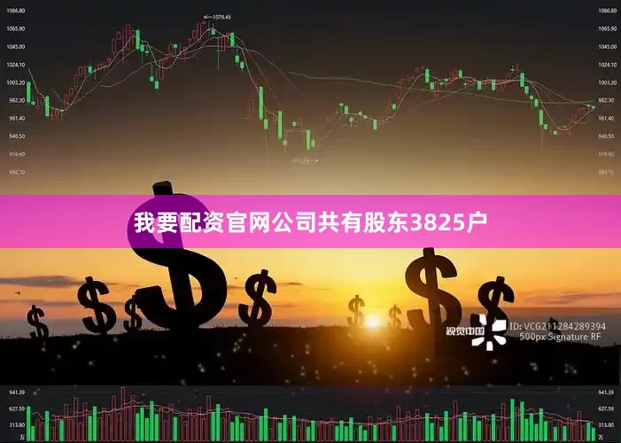 我要配资官网公司共有股东3825户